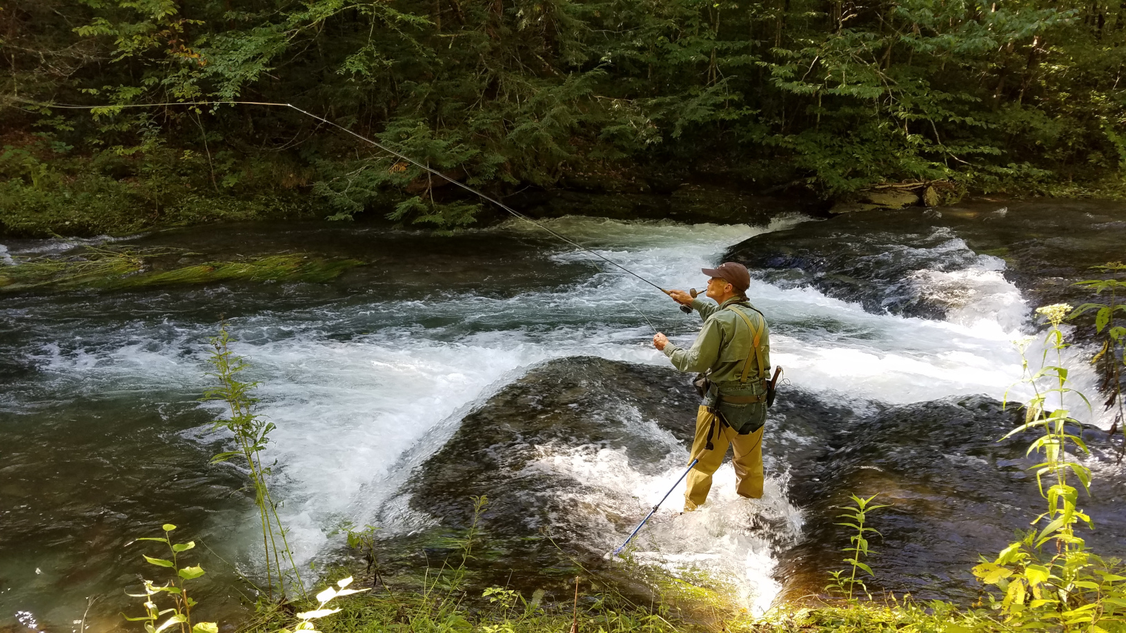 Scaled- DCraig Fishes Slate Run
