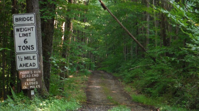 Morris Run Road Snare