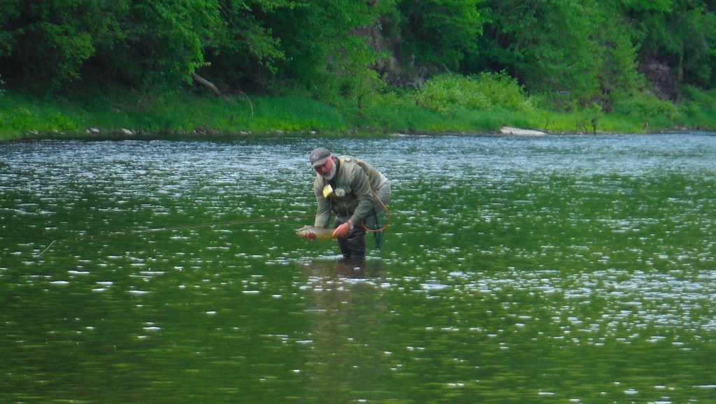 SRS mem. Andy R. on Pine