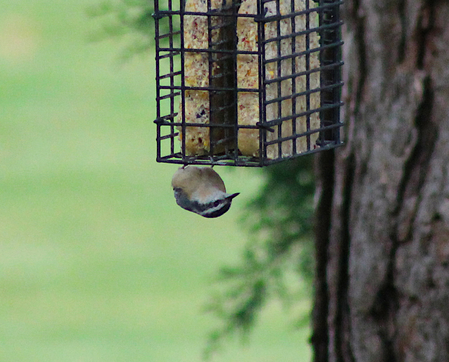 Hanging in natural state